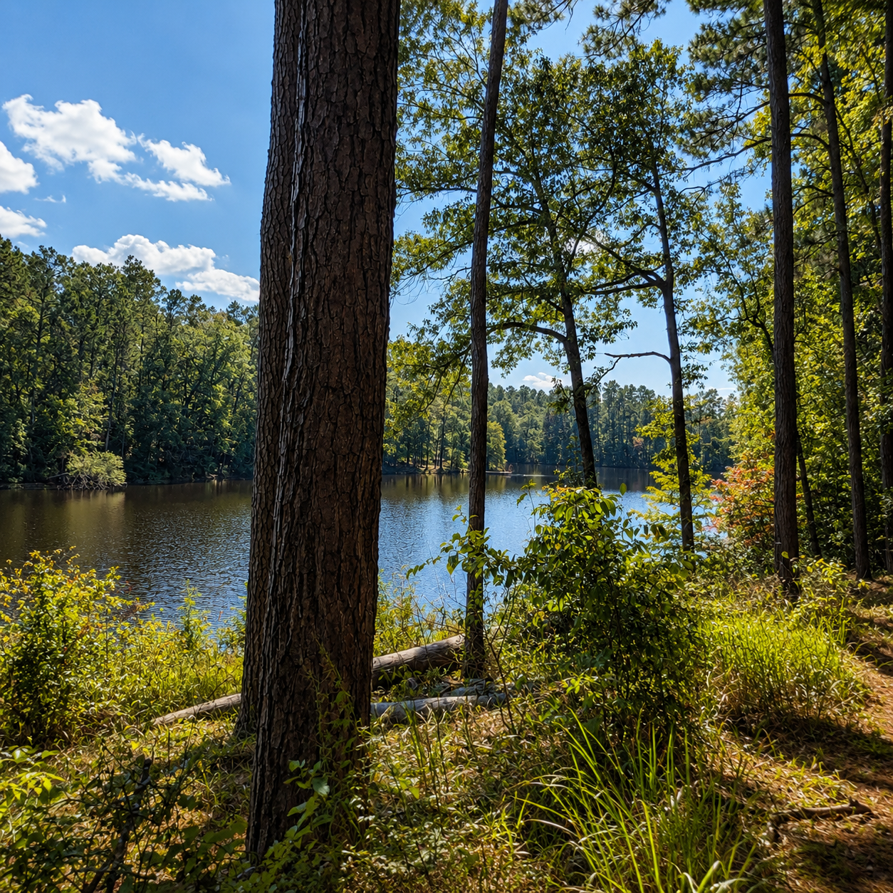 Camp Desoto